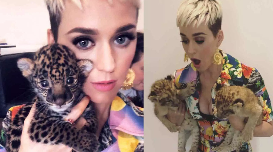 Katy Perry ‘den anlamlı ziyaret